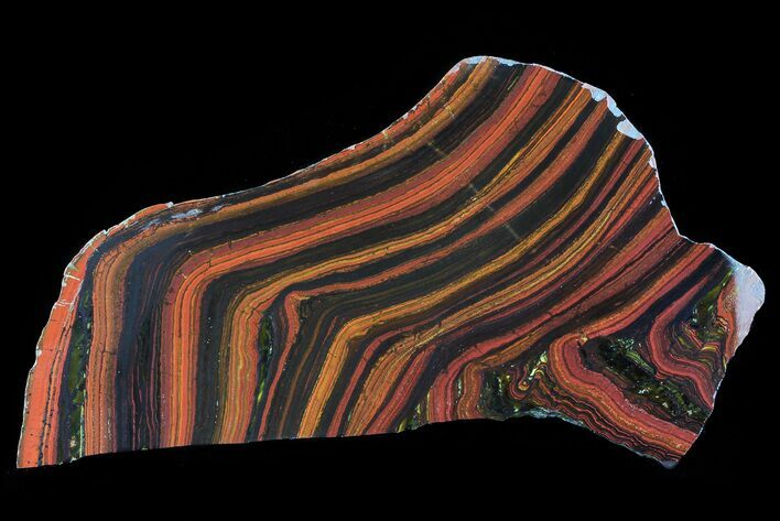 Polished Tiger Iron Stromatolite - ( Billion Years) #72899